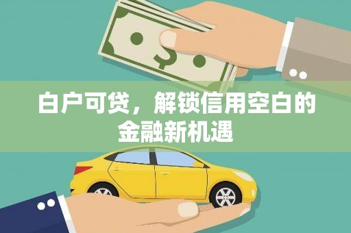 靖州白户可贷，解锁信用空白的金融新机遇