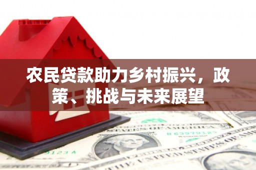 靖州农民贷款助力乡村振兴，政策、挑战与未来展望
