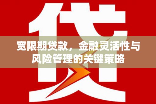 靖州宽限期贷款，金融灵活性与风险管理的关键策略
