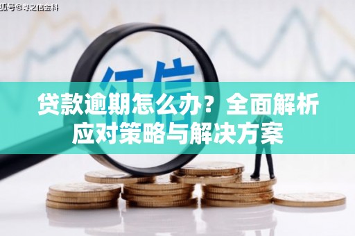 靖州贷款逾期怎么办？全面解析应对策略与解决方案