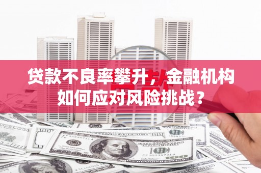 靖州贷款不良率攀升，金融机构如何应对风险挑战？