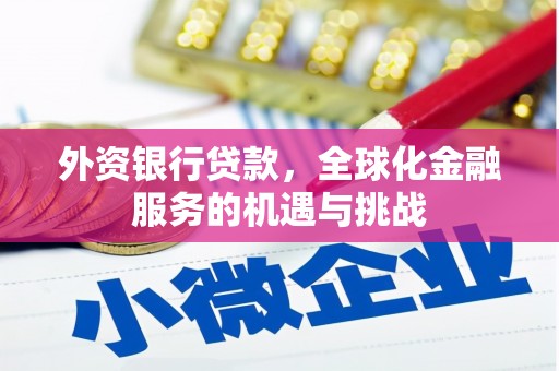 靖州外资银行贷款，全球化金融服务的机遇与挑战
