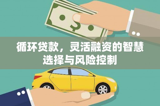 靖州循环贷款，灵活融资的智慧选择与风险控制