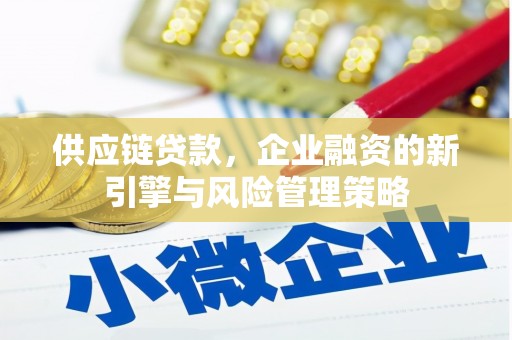 靖州供应链贷款，企业融资的新引擎与风险管理策略