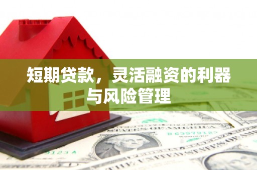 靖州短期贷款，灵活融资的利器与风险管理