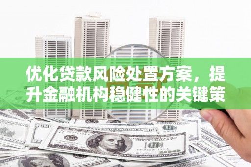 靖州优化贷款风险处置方案，提升金融机构稳健性的关键策略