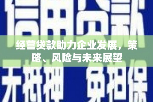 靖州经营贷款助力企业发展，策略、风险与未来展望