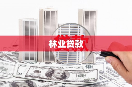 靖州林业贷款