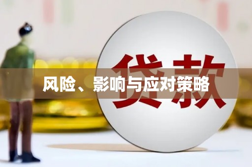 靖州风险、影响与应对策略