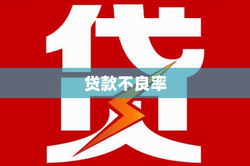 靖州贷款不良率