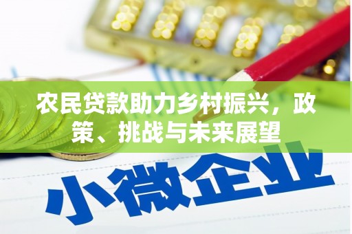 靖州农民贷款助力乡村振兴，政策、挑战与未来展望