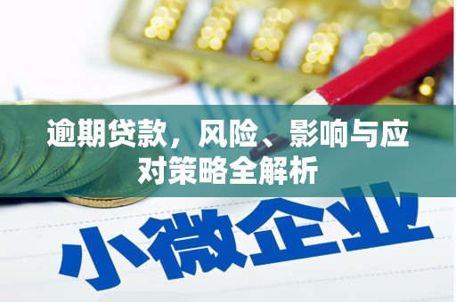 靖州逾期贷款，风险、影响与应对策略全解析