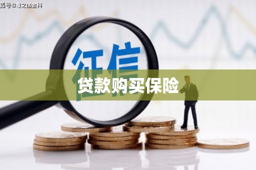 靖州贷款购买保险
