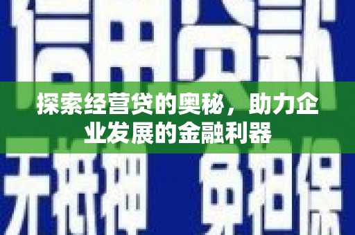 靖州探索经营贷的奥秘，助力企业发展的金融利器