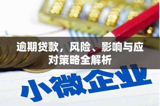靖州逾期贷款，风险、影响与应对策略全解析