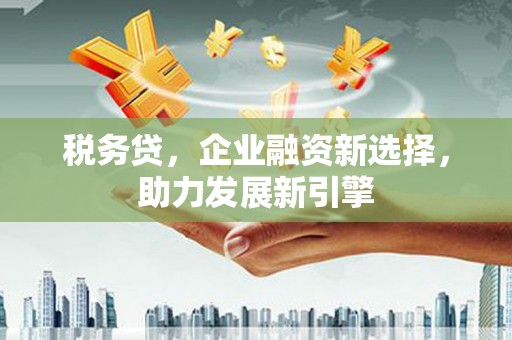 靖州税务贷，企业融资新选择，助力发展新引擎