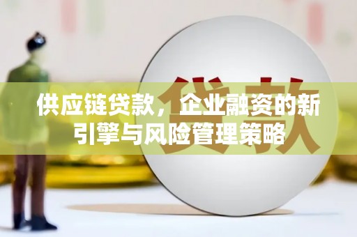 靖州供应链贷款，企业融资的新引擎与风险管理策略