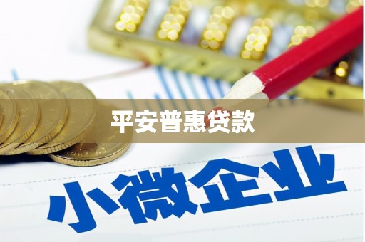 靖州平安普惠贷款