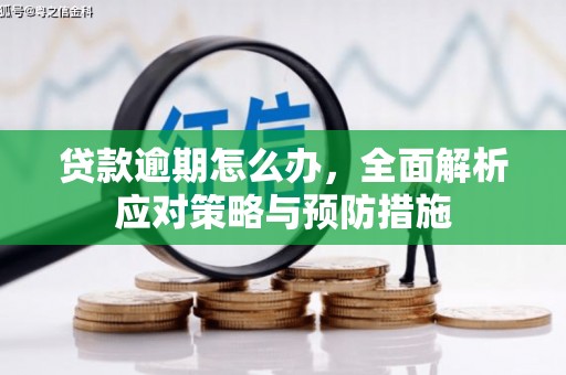 靖州贷款逾期怎么办，全面解析应对策略与预防措施