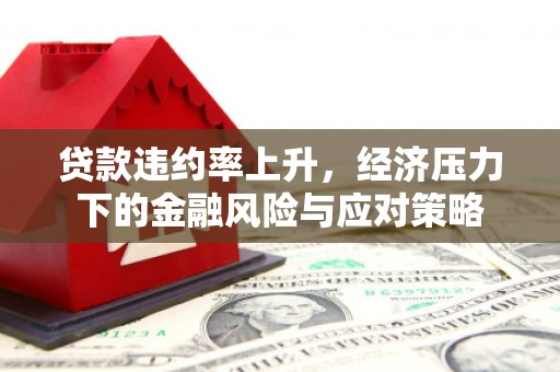靖州贷款违约率上升，经济压力下的金融风险与应对策略