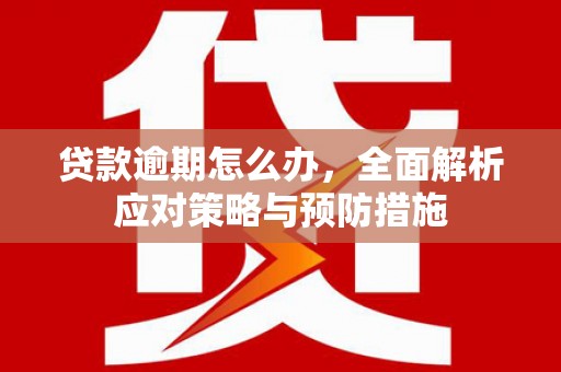 靖州贷款逾期怎么办，全面解析应对策略与预防措施
