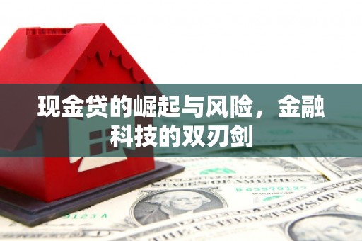 靖州现金贷的崛起与风险，金融科技的双刃剑