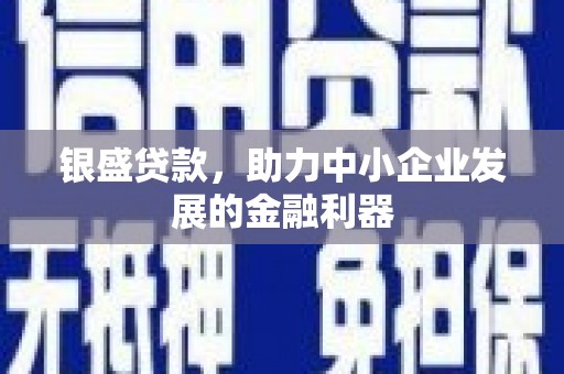 靖州银盛贷款，助力中小企业发展的金融利器