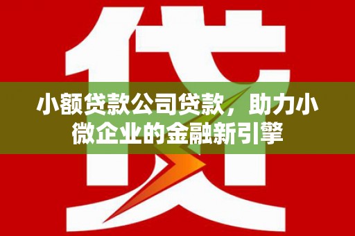 靖州小额贷款公司贷款，助力小微企业的金融新引擎