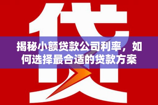 靖州揭秘小额贷款公司利率，如何选择最合适的贷款方案
