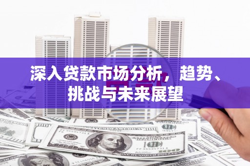 靖州深入贷款市场分析，趋势、挑战与未来展望