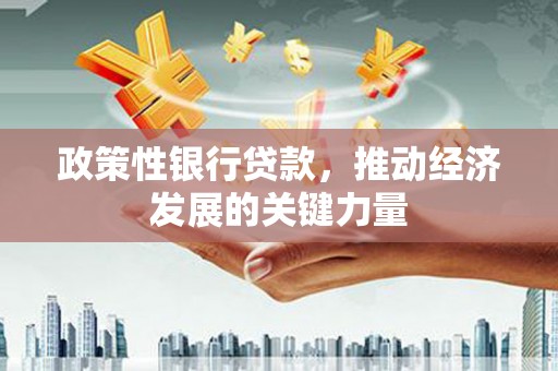 靖州政策性银行贷款，推动经济发展的关键力量