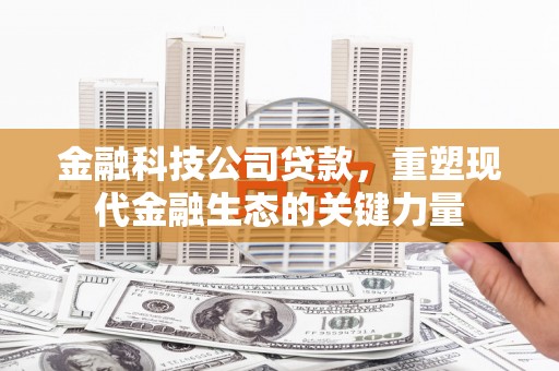 靖州金融科技公司贷款，重塑现代金融生态的关键力量