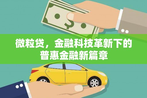 靖州微粒贷，金融科技革新下的普惠金融新篇章