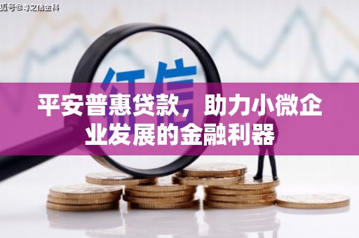 靖州平安普惠贷款，助力小微企业发展的金融利器