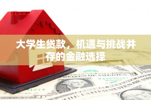 靖州大学生贷款，机遇与挑战并存的金融选择