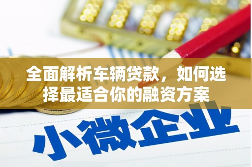 靖州全面解析车辆贷款，如何选择最适合你的融资方案