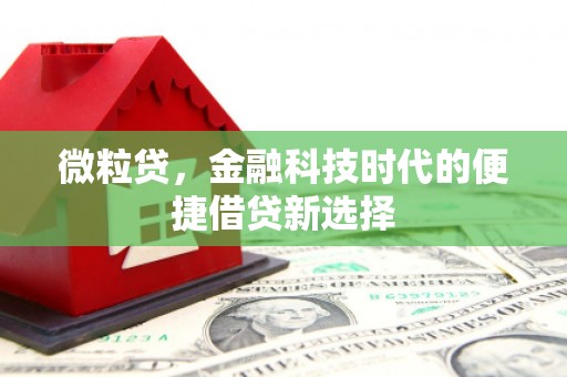 靖州微粒贷，金融科技时代的便捷借贷新选择