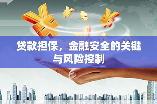 靖州贷款担保，金融安全的关键与风险控制