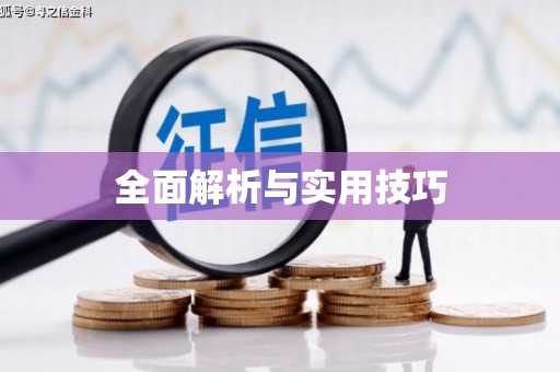 靖州全面解析与实用技巧