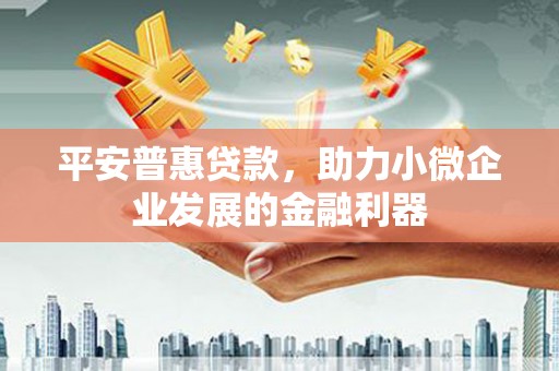 靖州平安普惠贷款，助力小微企业发展的金融利器