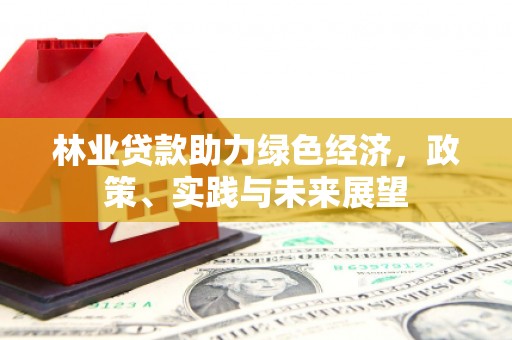 靖州林业贷款助力绿色经济，政策、实践与未来展望
