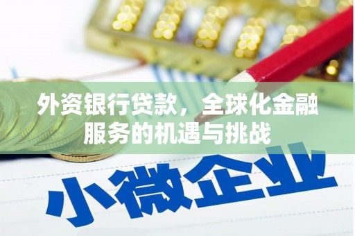 靖州外资银行贷款，全球化金融服务的机遇与挑战