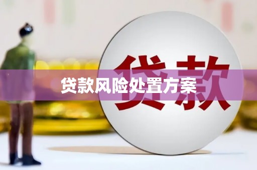 靖州贷款风险处置方案