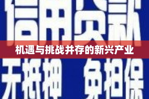 靖州机遇与挑战并存的新兴产业
