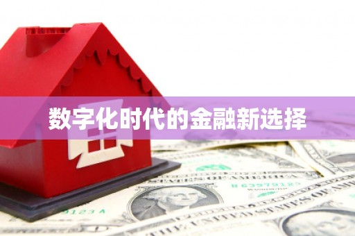 靖州数字化时代的金融新选择