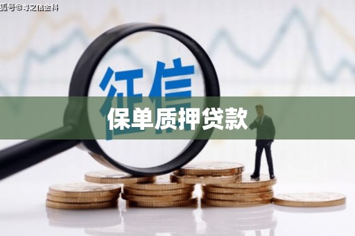 靖州保单质押贷款