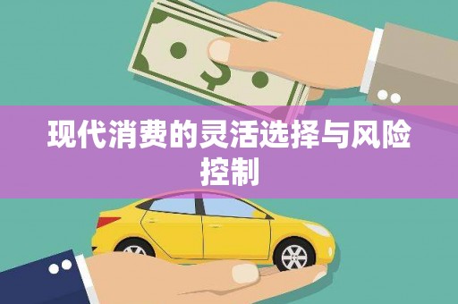 靖州现代消费的灵活选择与风险控制