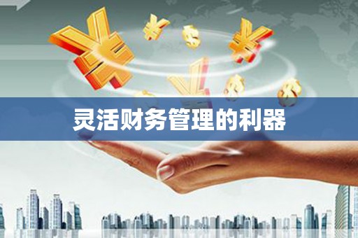 靖州灵活财务管理的利器