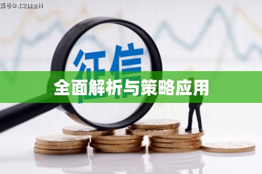 靖州全面解析与策略应用
