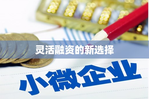 靖州灵活融资的新选择